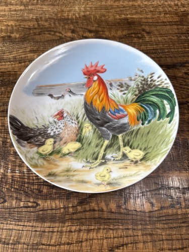 Rooster chicken hen decorative - chicken,